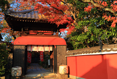長建寺