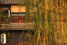 寺田屋