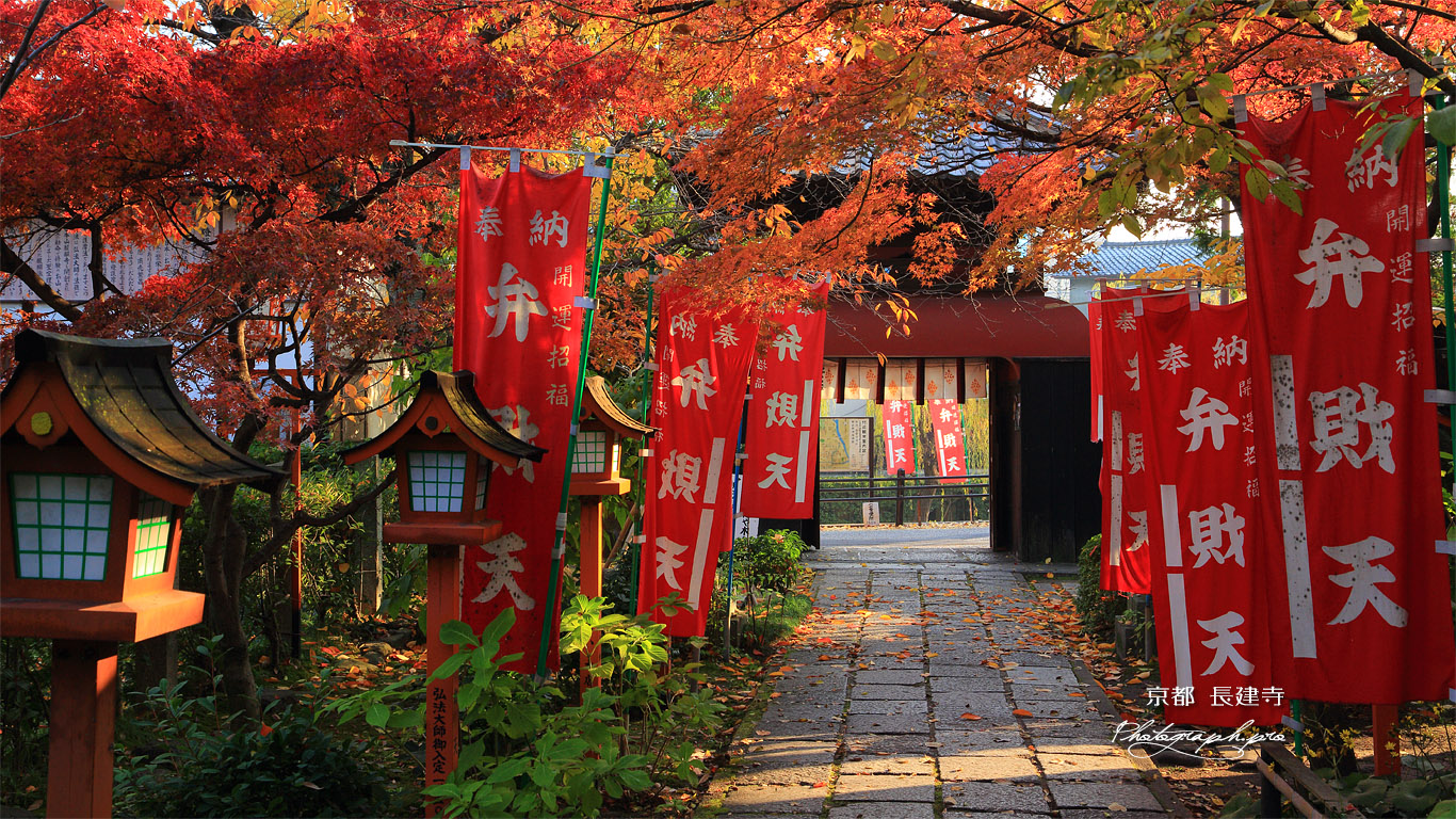 長建寺 紅葉越しの山門 壁紙