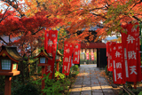 長建寺 紅葉越しの山門