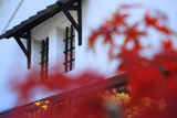 月桂冠大倉記念館 紅葉越しの酒蔵