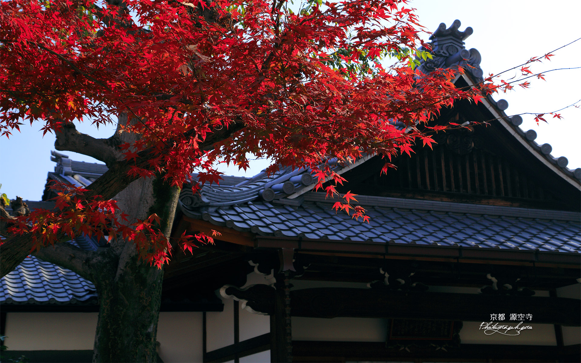 源空寺 紅葉と本堂