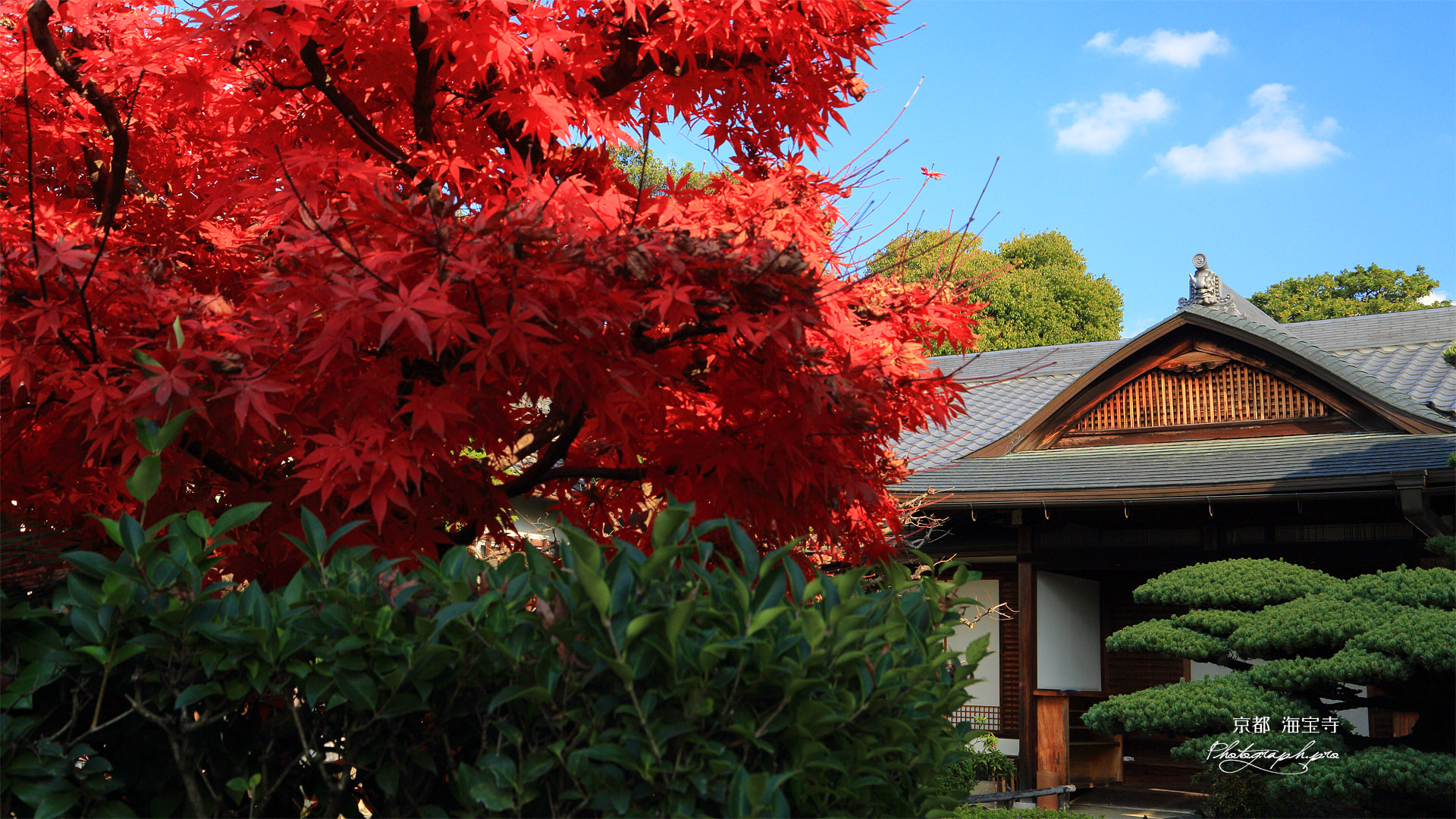 海宝寺 紅葉と玄関