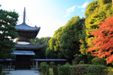 紅葉の近衛天皇陵