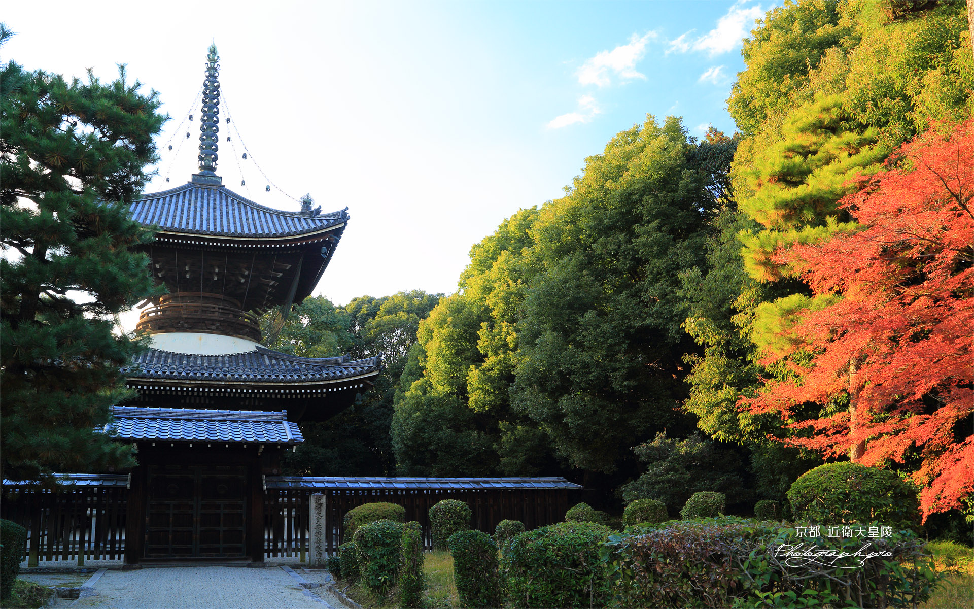 紅葉の近衛天皇陵