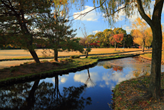 鳥羽離宮跡公園