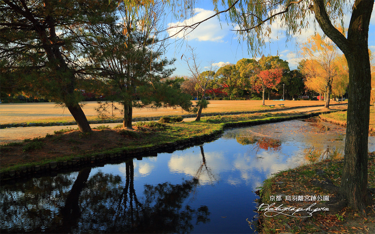 鳥羽離宮跡公園 秋色の池泉 壁紙