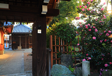 恋塚浄禅寺