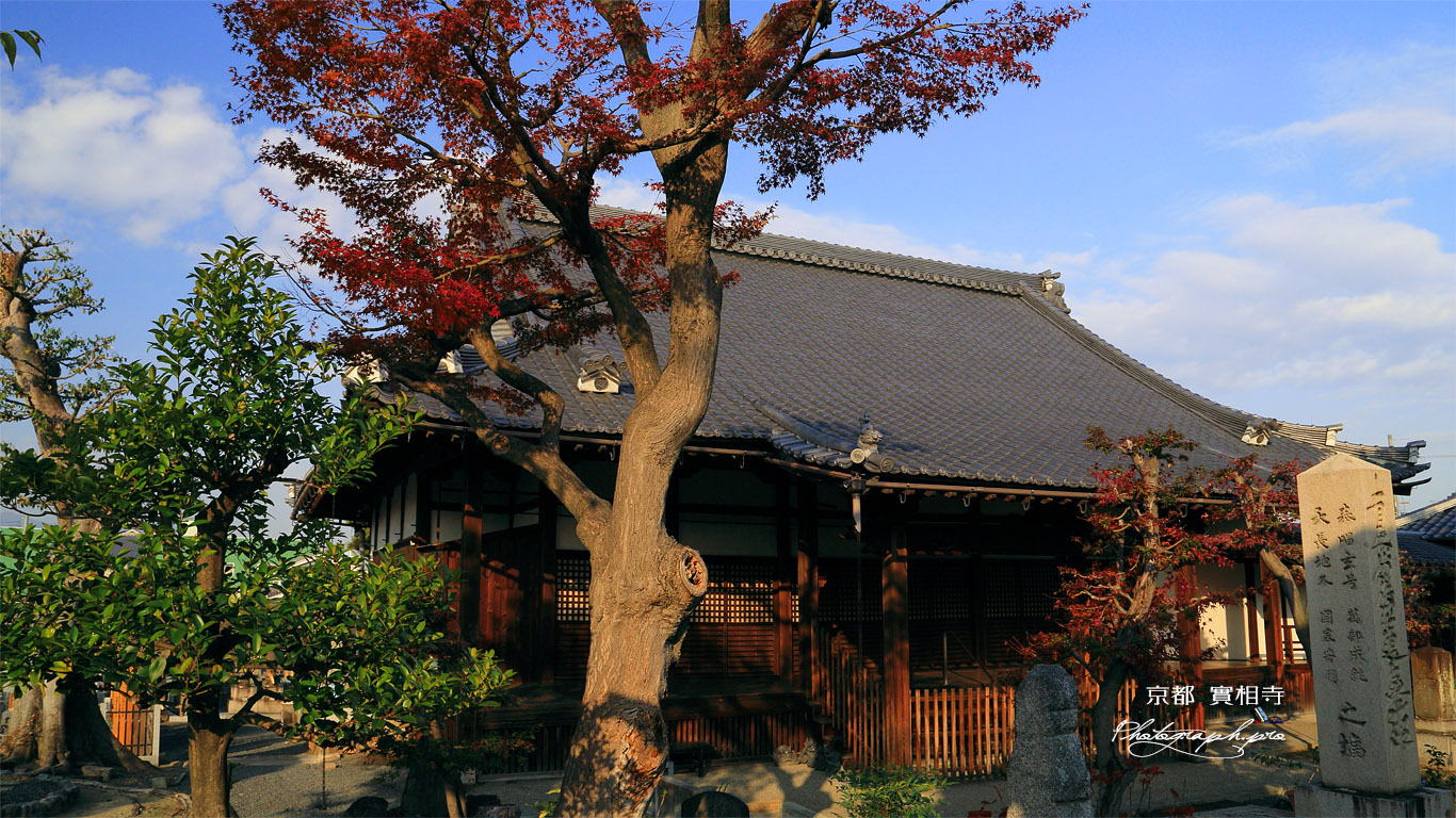 實相寺 紅葉と本堂 壁紙