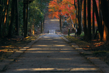 長尾天満宮 石段と紅葉