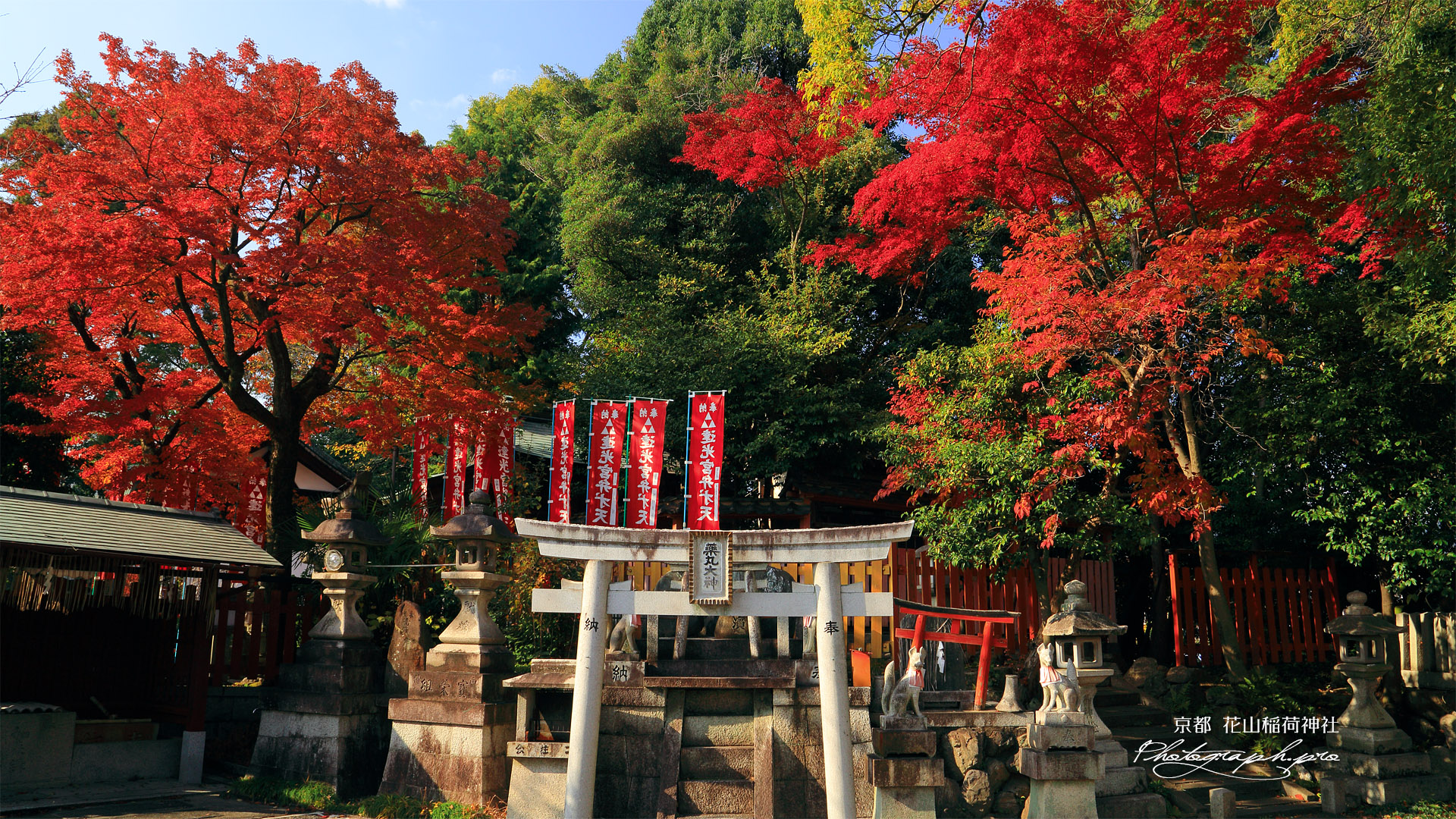 花山稲荷神社 境内社と紅葉