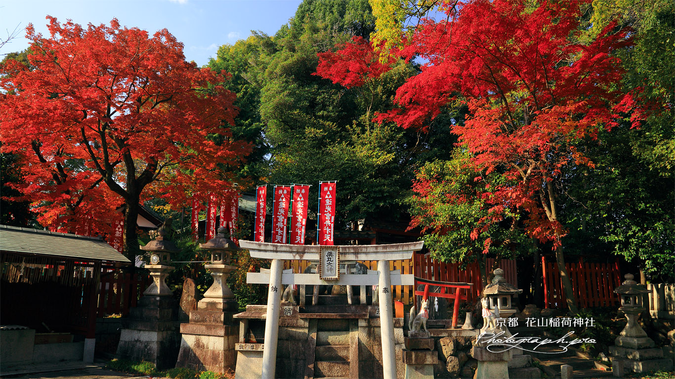 花山稲荷神社 境内社と紅葉 壁紙