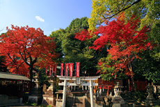 花山稲荷神社