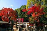 花山稲荷神社