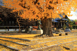 本願寺山科別院