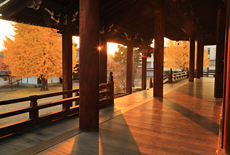東本願寺山科別院