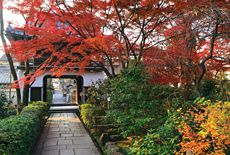 元慶寺