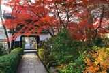 元慶寺