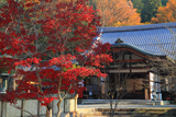本圀寺 紅葉と客殿