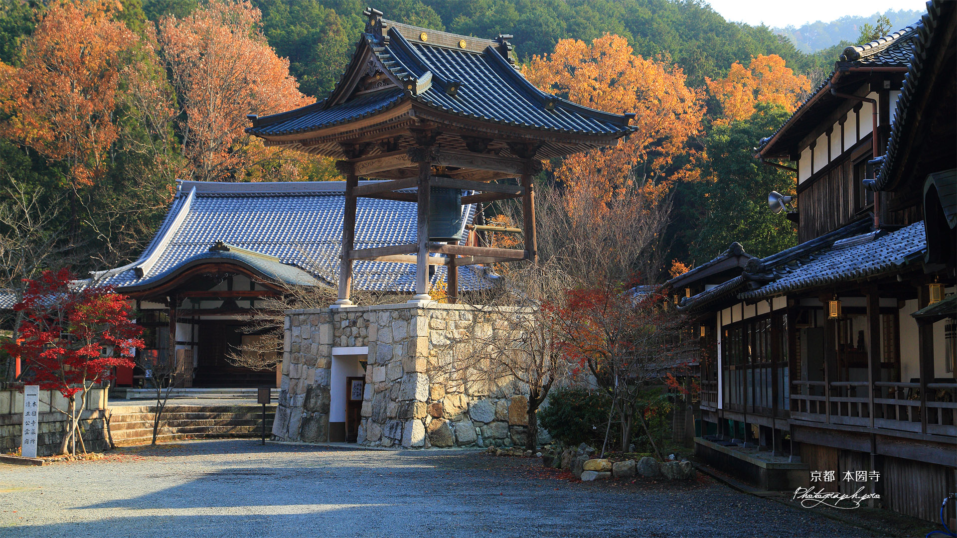 本圀寺 鐘楼と雑木黄葉