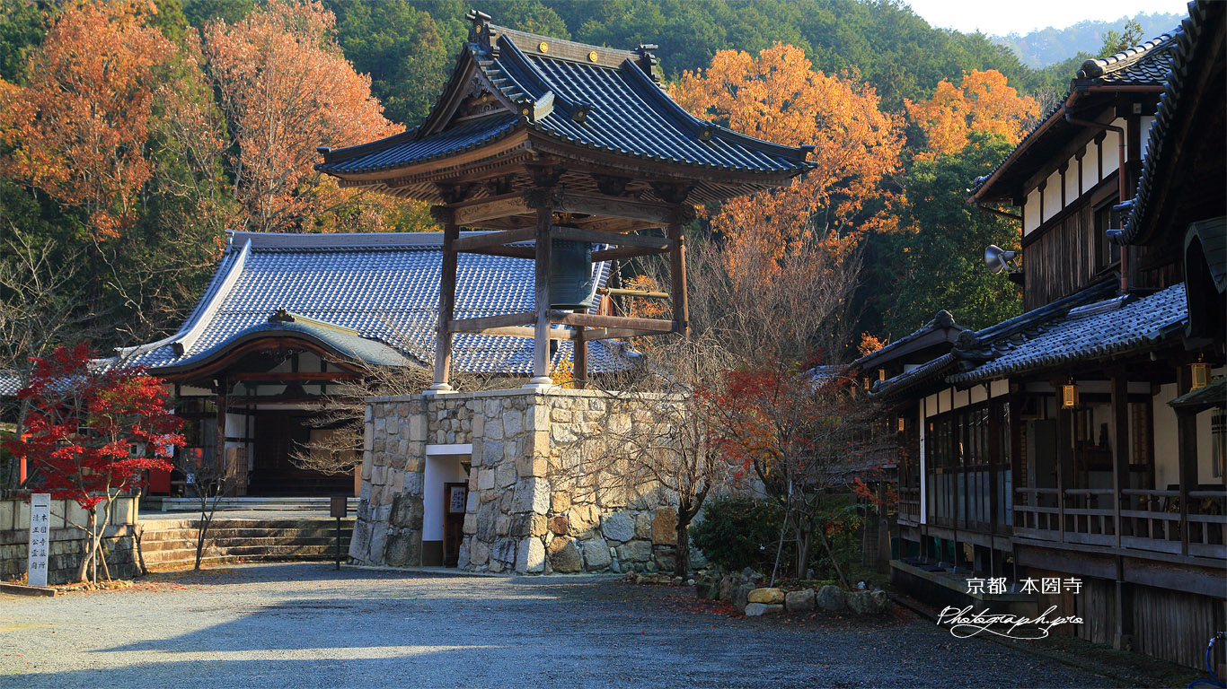 本圀寺 鐘楼と雑木黄葉 壁紙