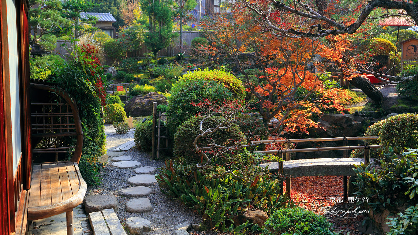 哲学の道 よーじやカフェの紅葉庭園 壁紙