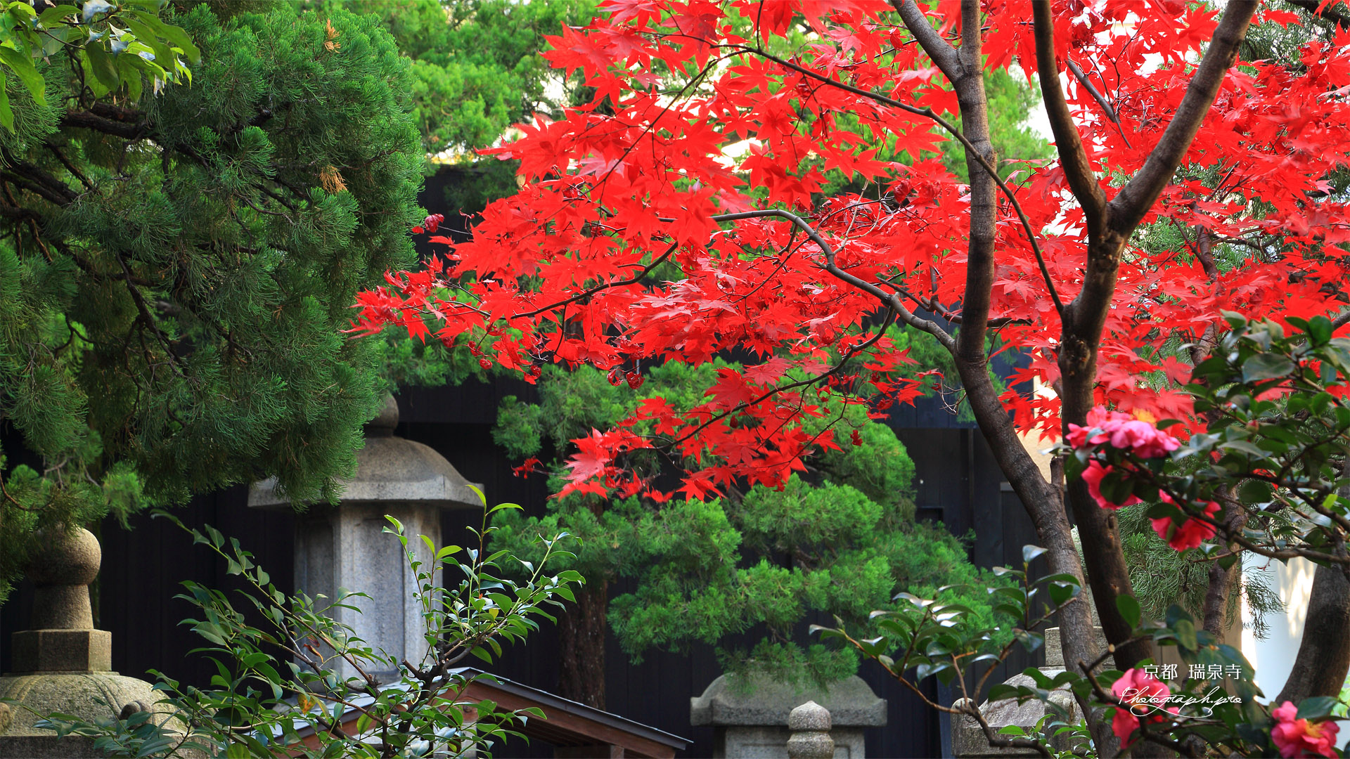 京都瑞泉寺 紅葉と豊臣秀次之墓