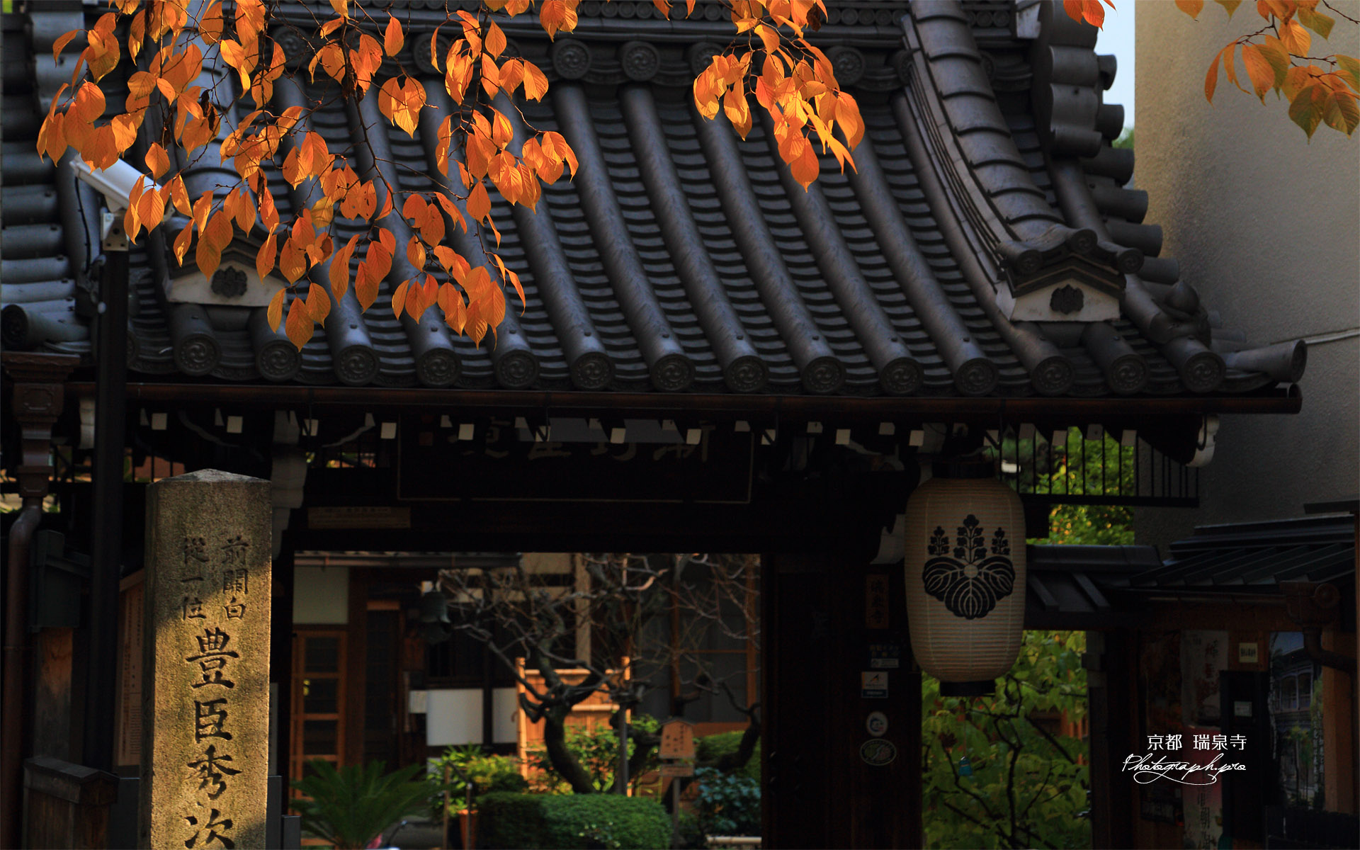 京都瑞泉寺 桜紅葉と山門