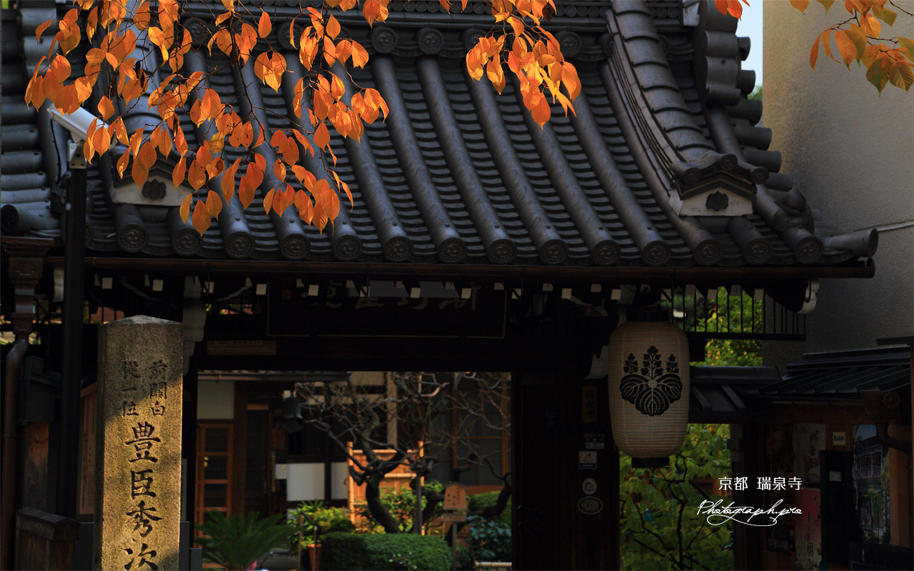 京都瑞泉寺 桜紅葉と山門 壁紙