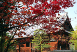 天性寺