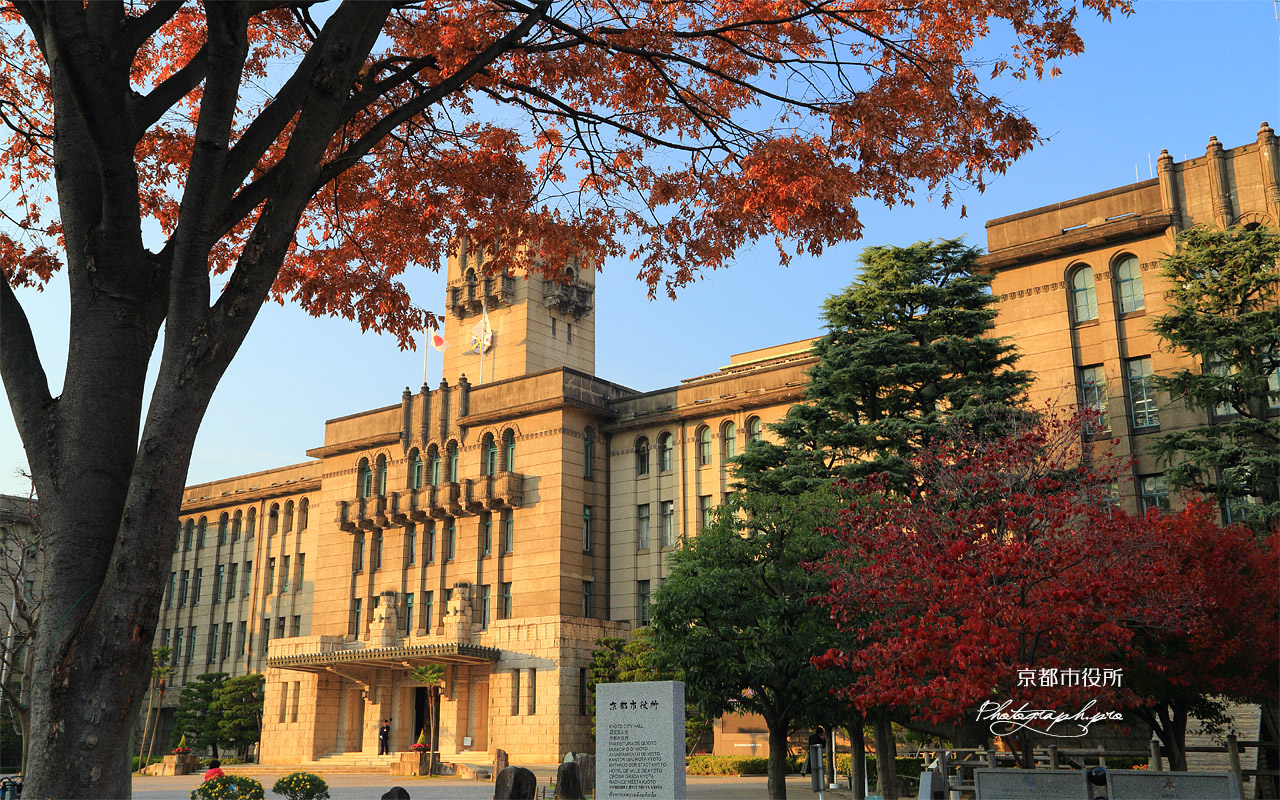 京都市役所 紅葉と本庁舎 壁紙