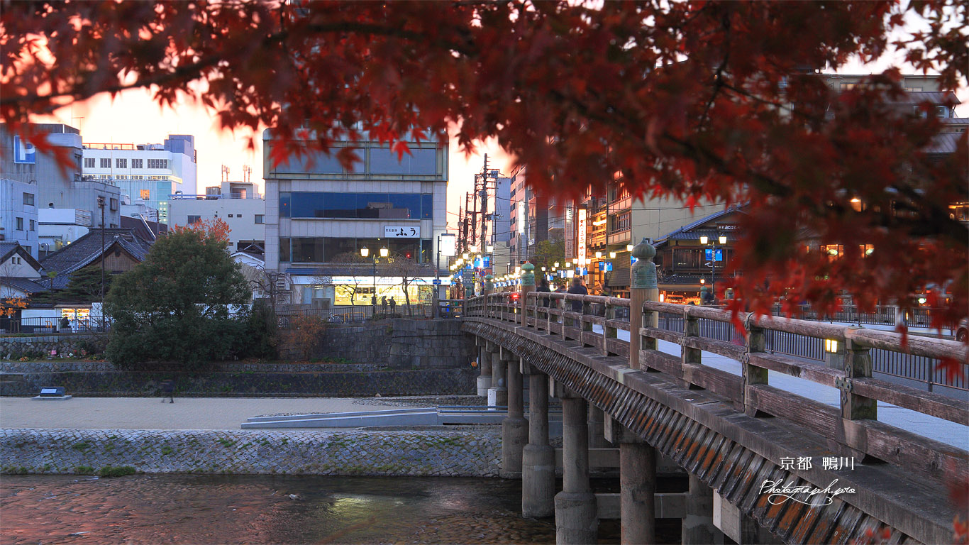 鴨川 紅葉越しの三条大橋 壁紙