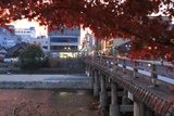 鴨川 紅葉越しの三条大橋
