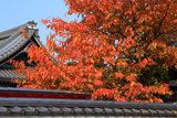 粟嶋堂