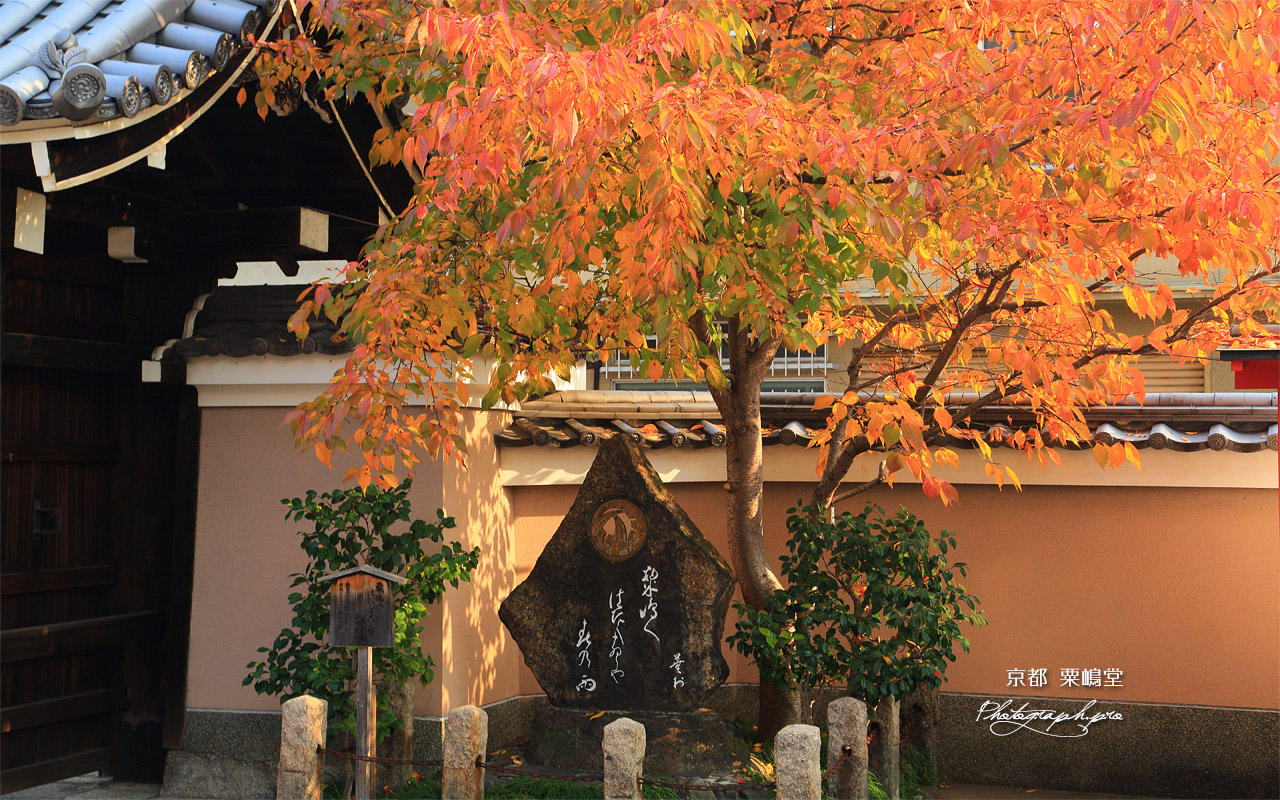 粟嶋堂 蕪村句碑 壁紙
