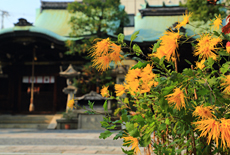元祇園社