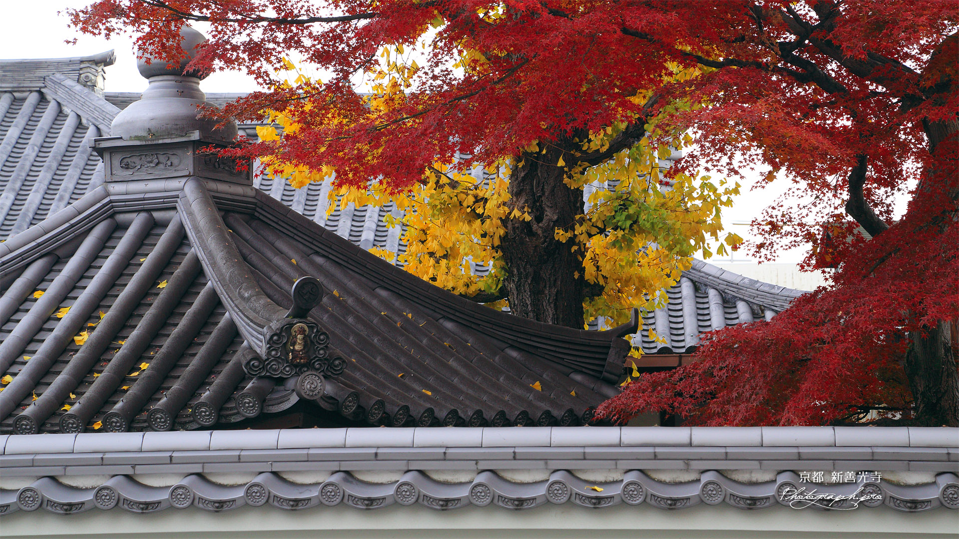 新善光寺 紅葉と黄葉
