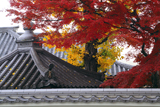 新善光寺