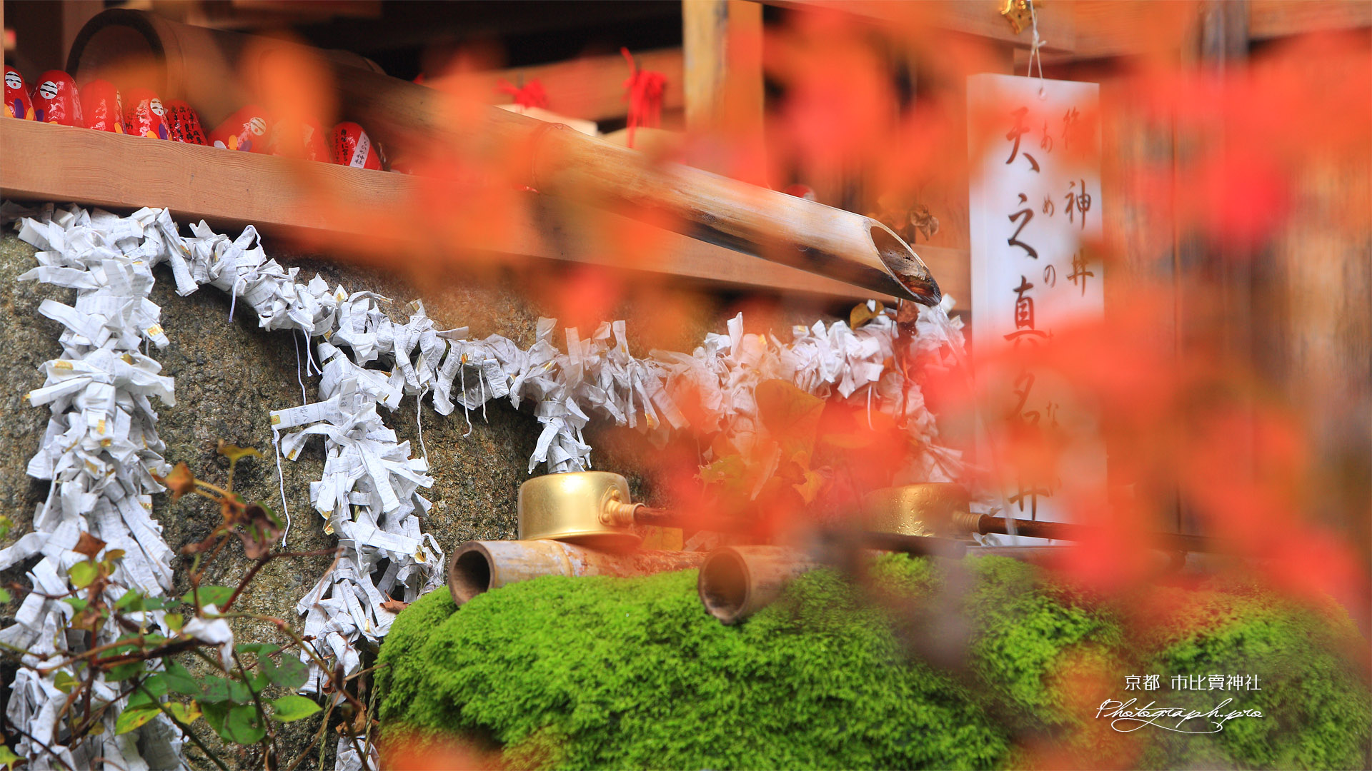 市比賣神社 紅葉越しの天之真名井