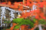 市比賣神社