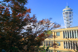 紅葉と江の島大師