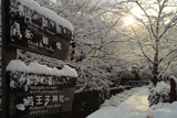 哲学の道 道標と雪景色