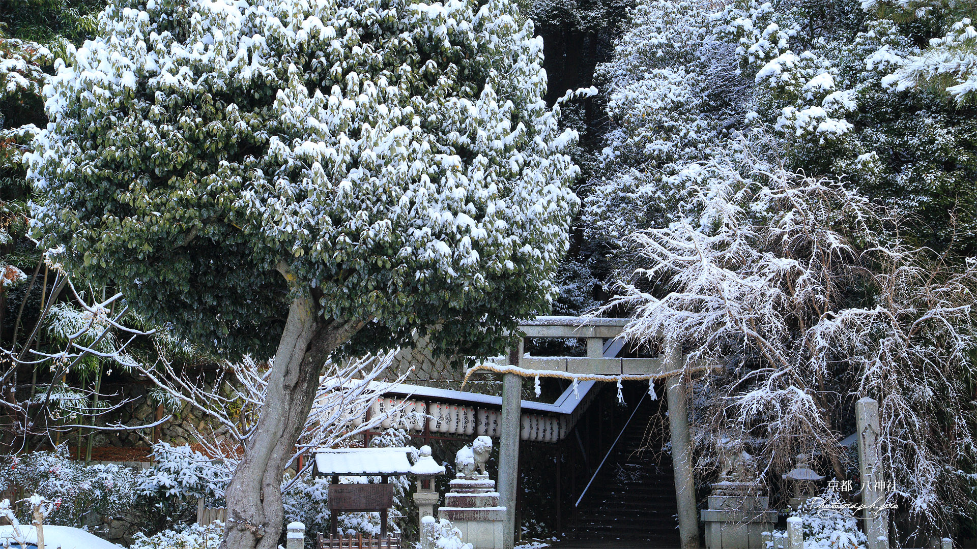 八神社 雪化粧の下境内
