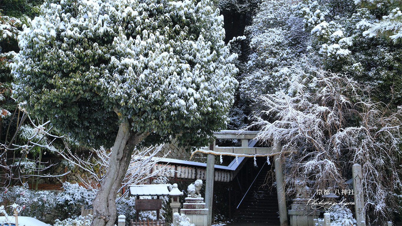八神社 雪化粧の下境内 壁紙