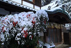 八神社
