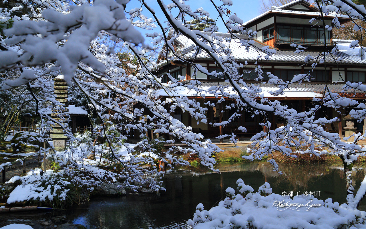 白沙村荘 枝雪越しの存古楼 壁紙