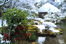白沙村荘