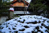 龍泉庵 苅込冠雪