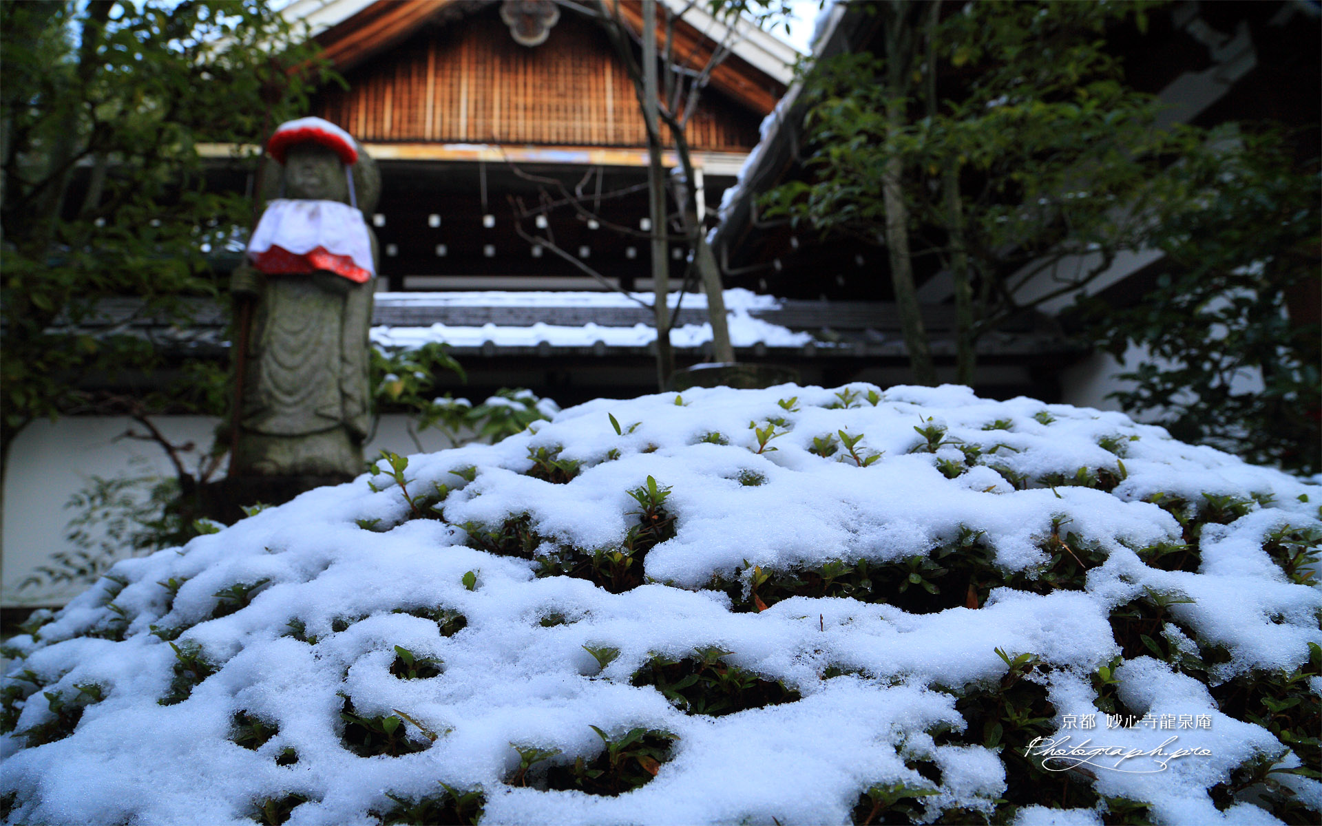龍泉庵 苅込冠雪