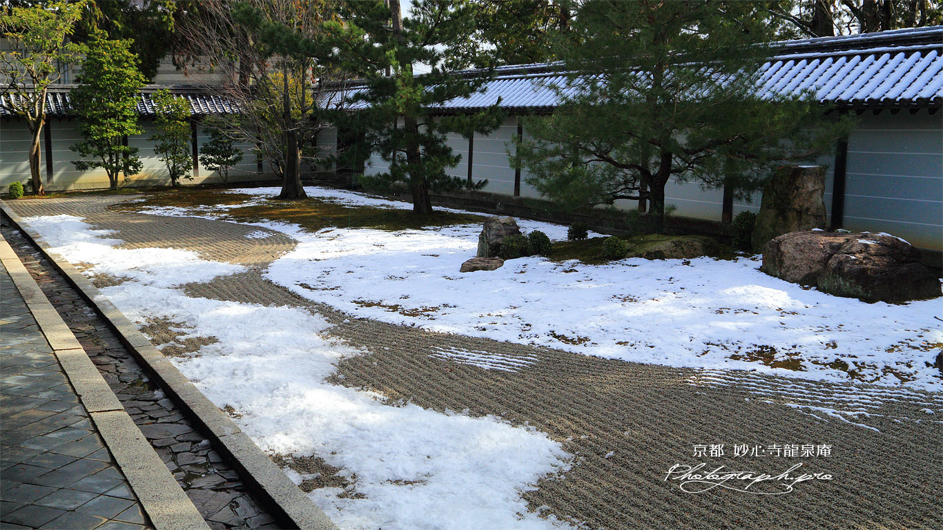 龍泉庵 斑雪の方丈庭園 壁紙